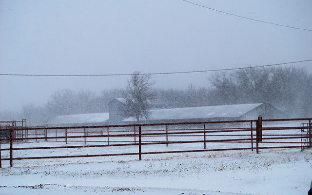 Merry White Christmas to You!