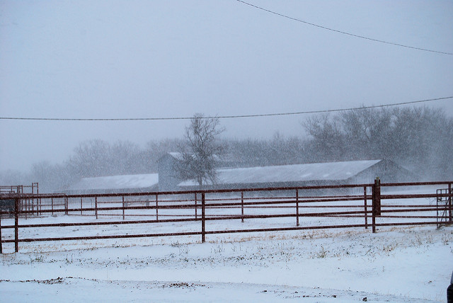 Merry White Christmas to You!