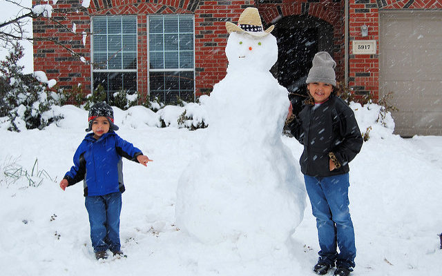 Craziest Texas Winter I Have Ever Seen