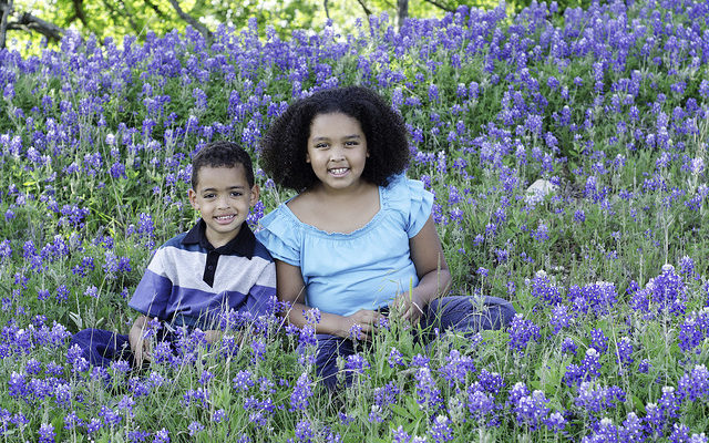 Bluebonnets Everywhere!