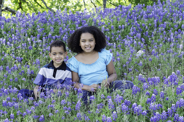 Bluebonnets Everywhere!