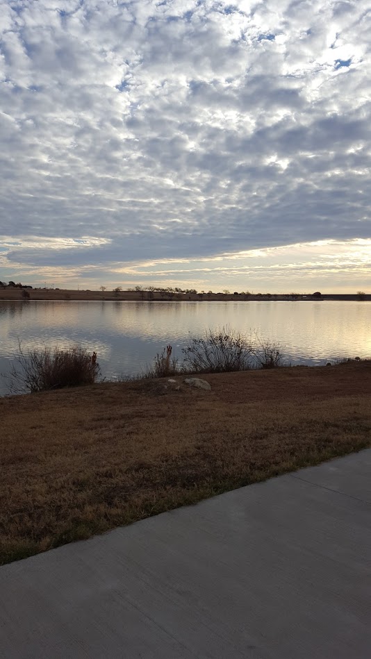 Cowtown 2018 Training Week 8 & New Shoes