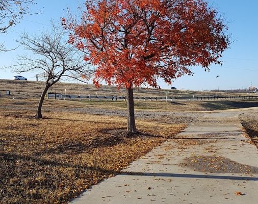 Cowtown 2018 Training Week 9
